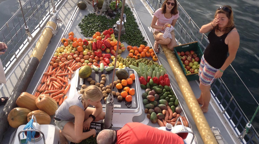 Loading the friut in Las Palmas