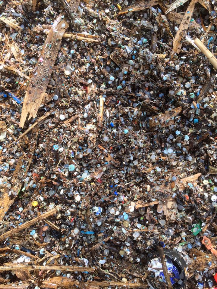nurdles being washed up on the shore