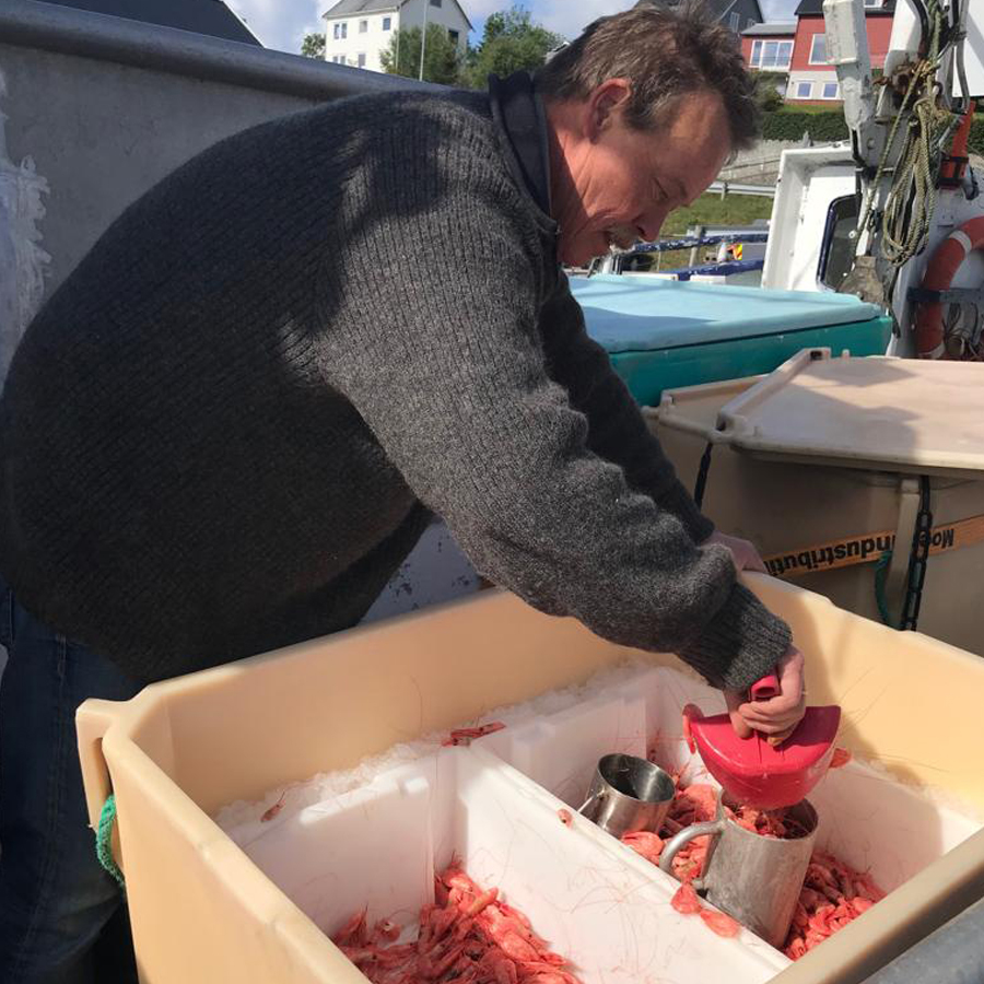 a fishing boat came in ahead of us and immediately a queue formed to buy the catch - litre of freshly caught & cooked prawns