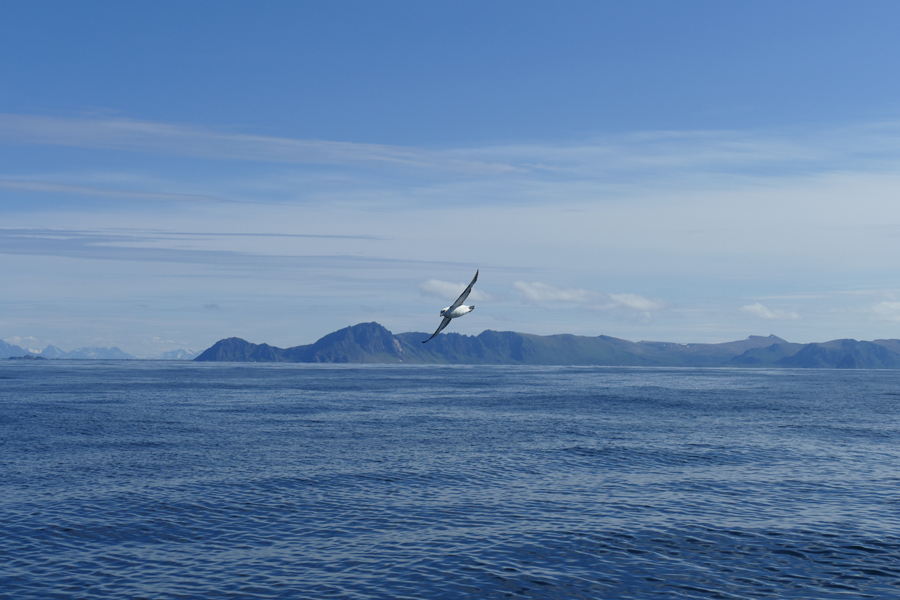 Arctic Sailing On Luxury Yacht Santosa And Mother Nature On Display