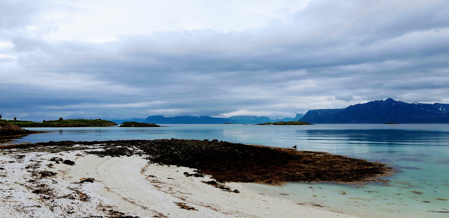 A Fresh Fish Supper On A Nordic Adventure