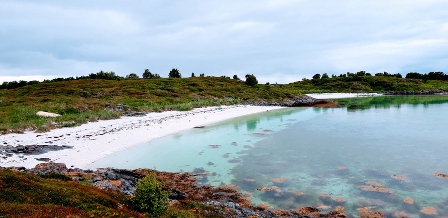 A Fresh Fish Supper On A Nordic Adventure