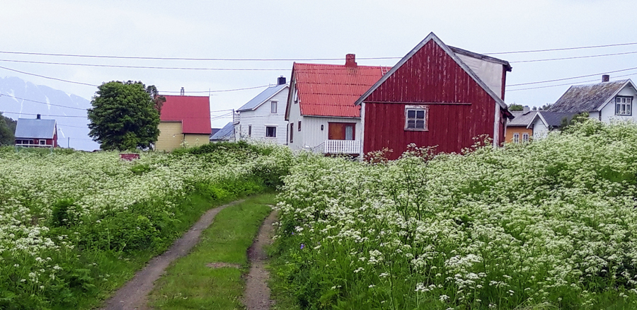 A Fresh Fish Supper On A Nordic Adventure