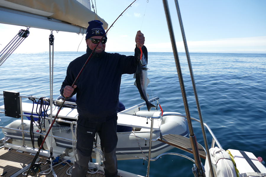 There She Blows! Santosa's Crew Experience A Whale