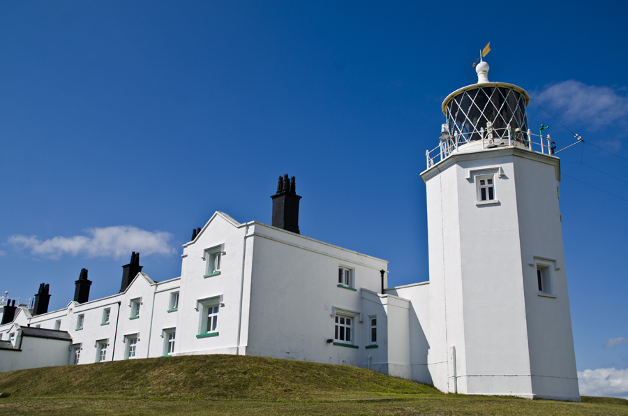 Lizard Point