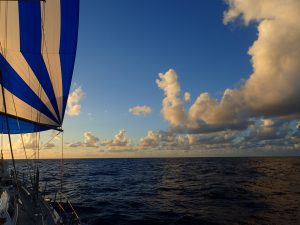 Picture from the deck of the boat in the Atlantic