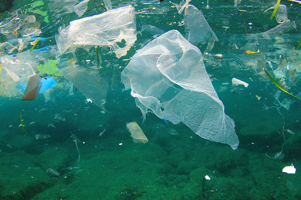 Picture of Plastic Bags in Ocean. Seabins may be the solution