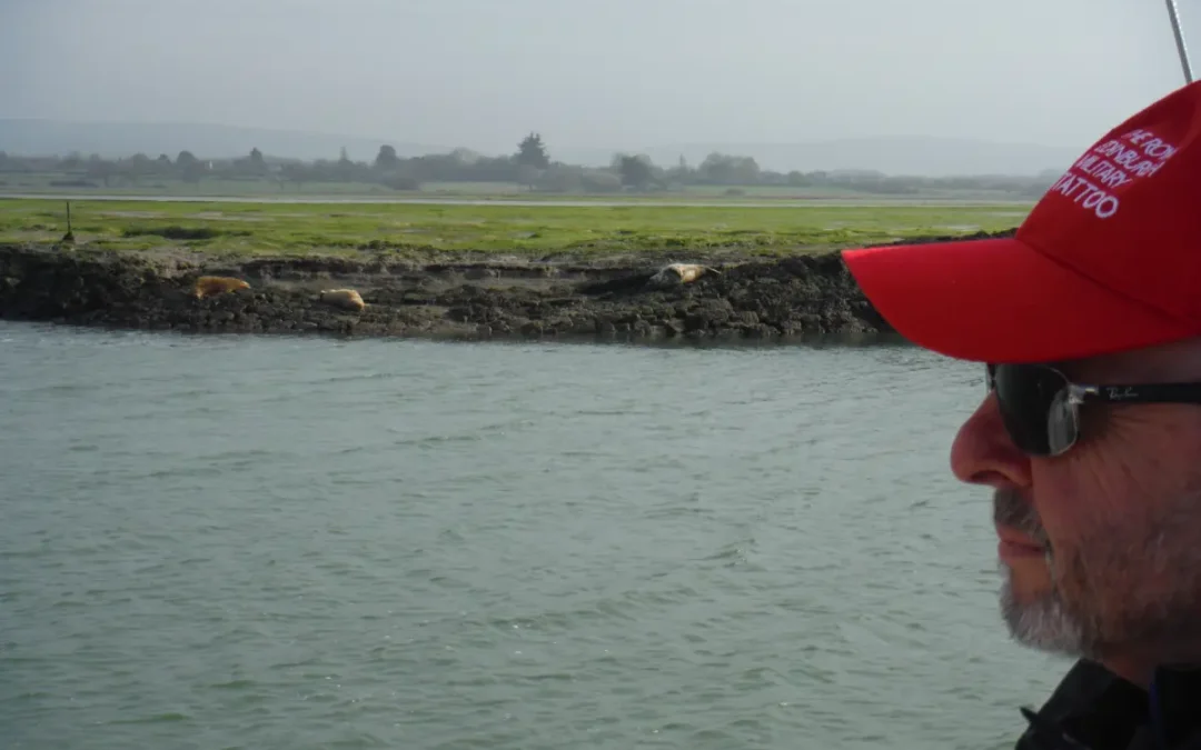 Is the Mediterranean Tidal?