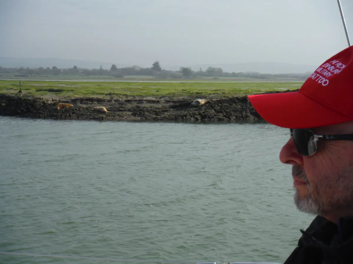 Solent riverbank (complete with seals) showing tidal range