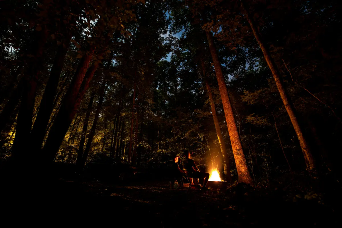 Campfire in woodland