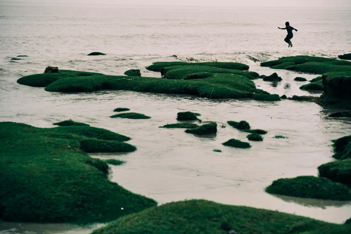 Adventure group jumping into the sea during a coasteering session.