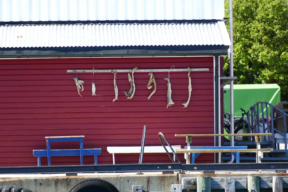 Stockfish drying – key export of Hanseatic trade in Bergen