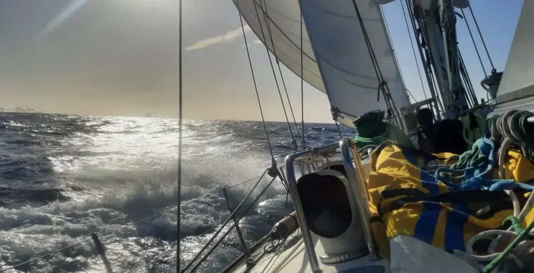 North Sea Sailing Diary: Gas Platforms, Porpoises and Pi the Pigeon