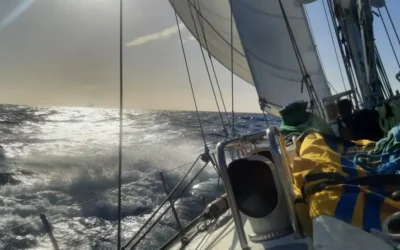 North Sea Sailing Diary: Gas Platforms, Porpoises and Pi the Pigeon