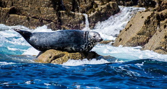 A sailing holiday from Cornwall to the Scilly Isles A sailing holiday from Cornwall to the Scilly Isles