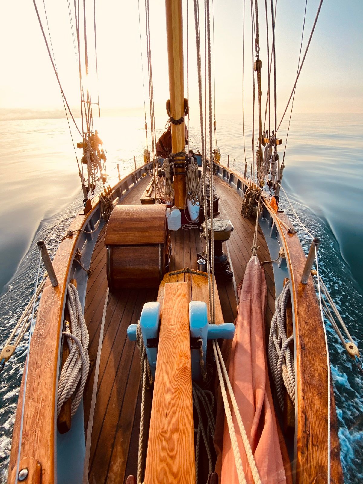 The Boat