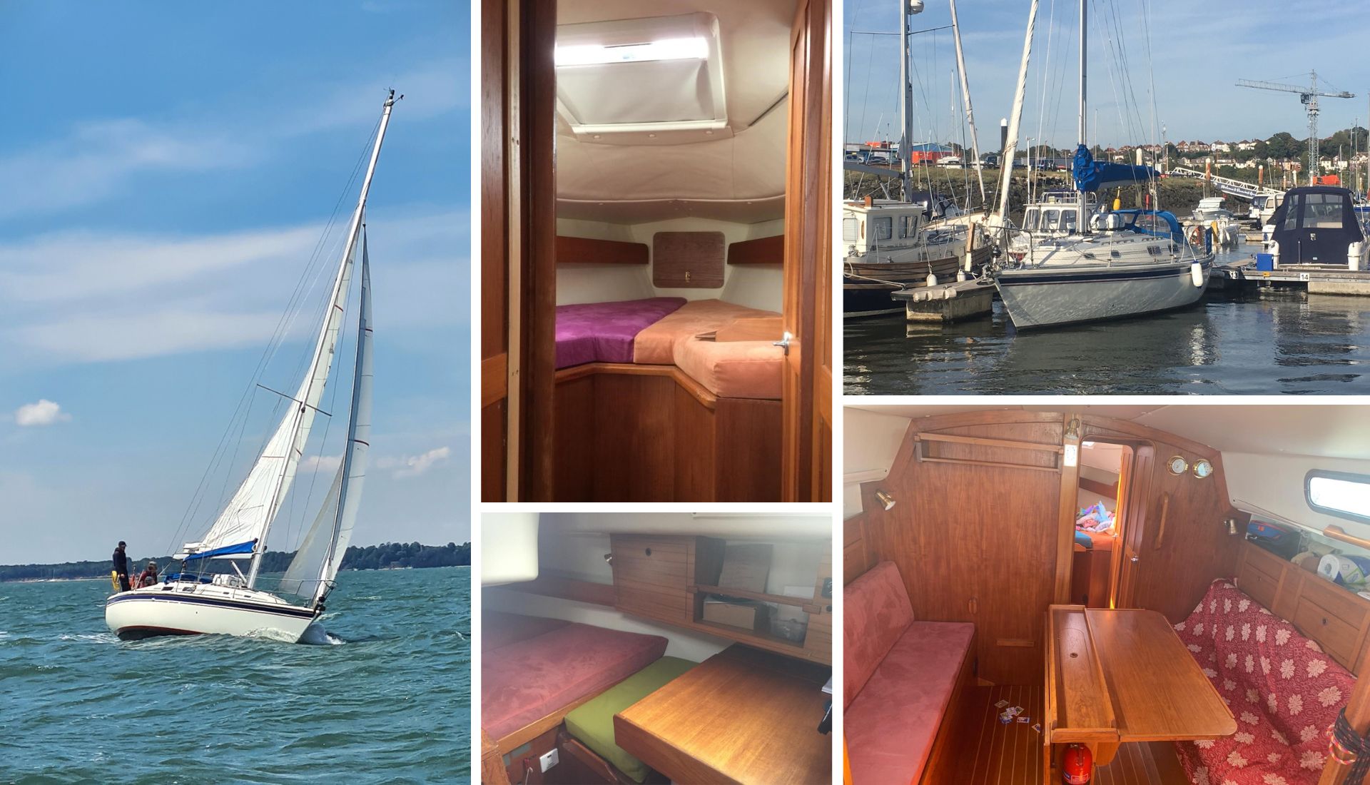 Our Westerly Fulmar - Leo Our Westerly Fulmar - Leo